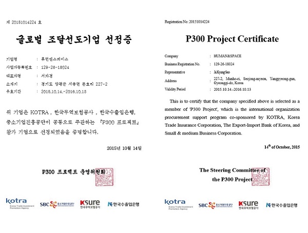 P300 Project Certificate.jpg
